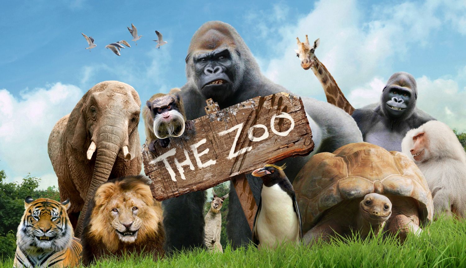 They’re back! - Popular Zoo TV Series Returns - Whats On South West