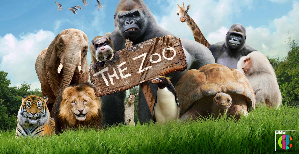 Zoo animals are the stars of new TV show Whats On South West